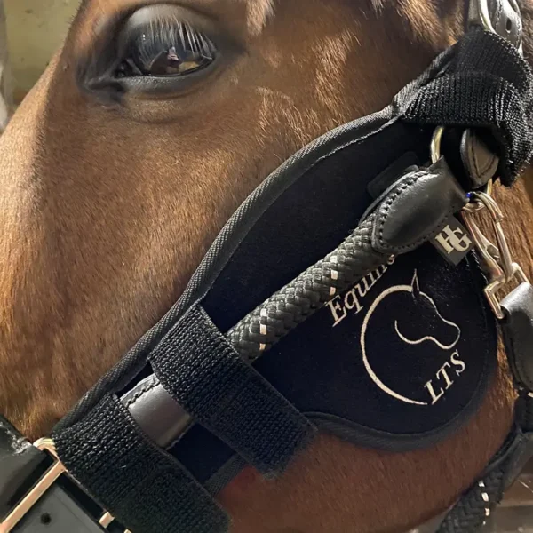 Equine LTS pad för ledljusterapi av hästens käke