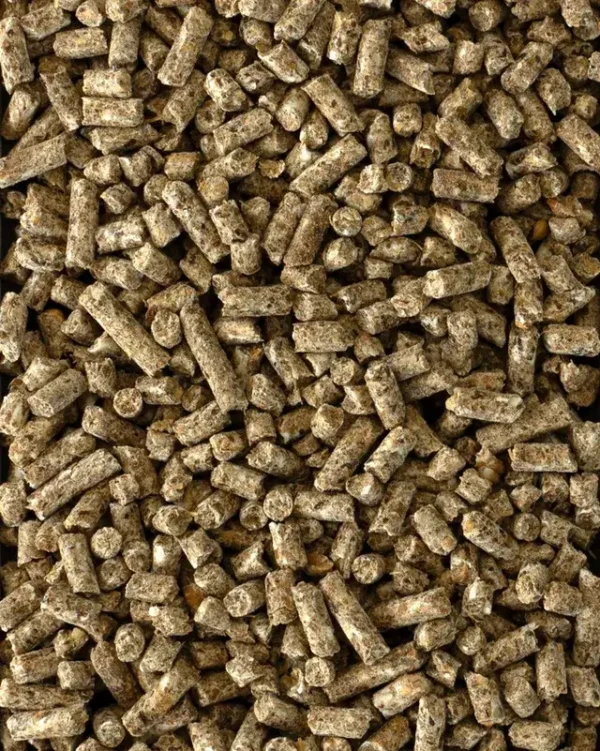 equitaste pellets som är ett premiumfoder för hästar
