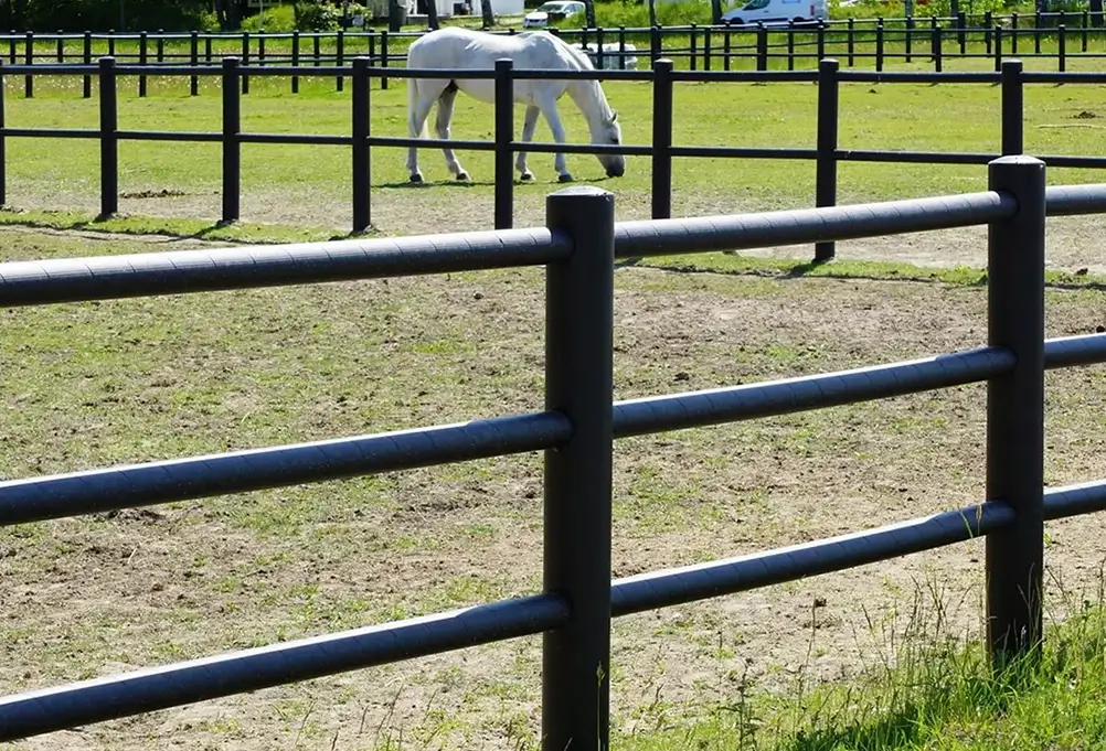 En vit häst i en hage med plaststaket från EquiSafe