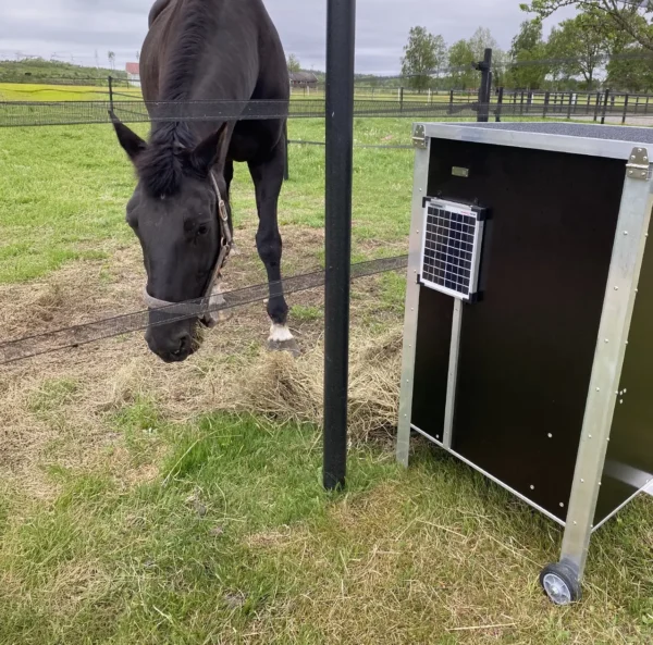 En svart häst i en hage med en Haybot höautomat framför sig
