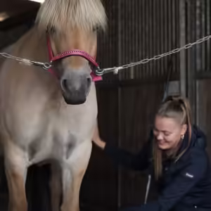 51598c_fbcdfcd595d44ca1afe547584f294d2f~mv2