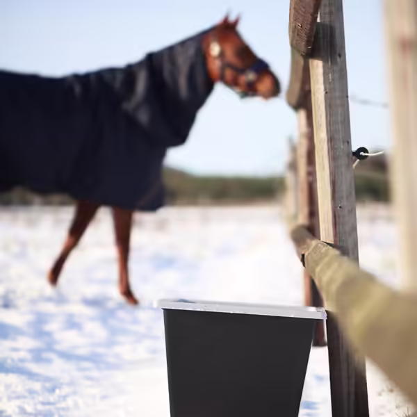 Häst och värmebalja