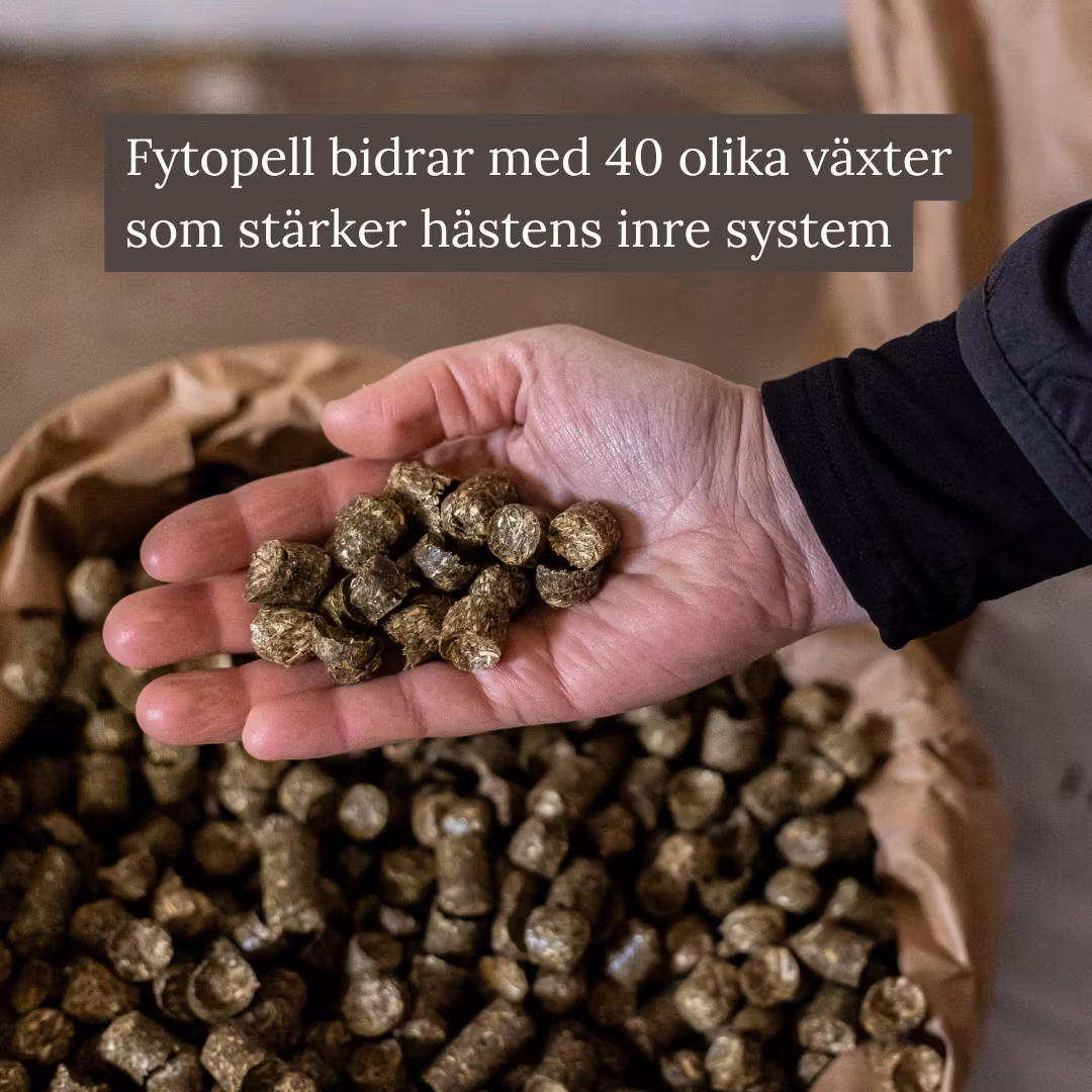 Eqvitals Fytopell 20kg - Bild 3