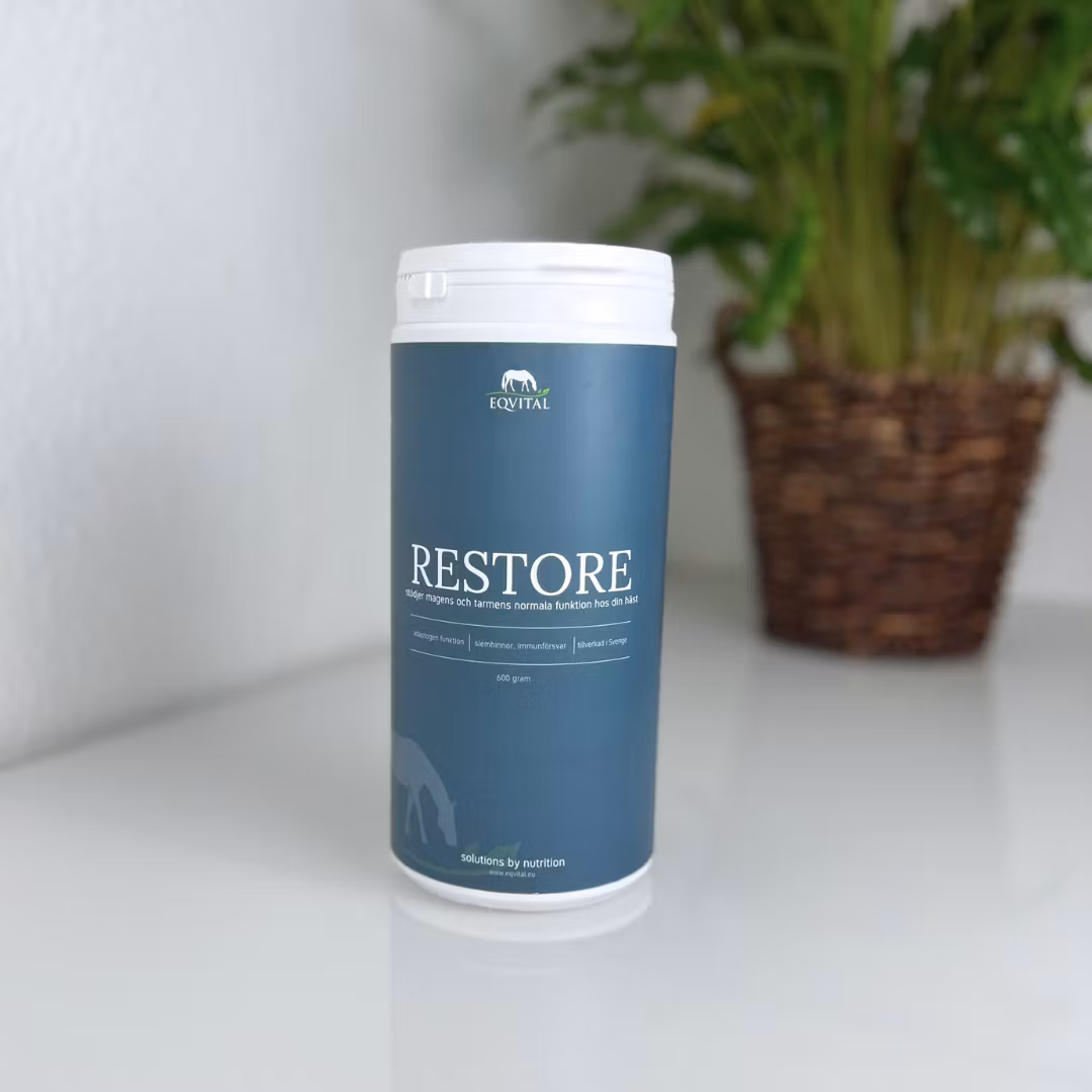 Eqvital RESTORE, Startpaket steg 2