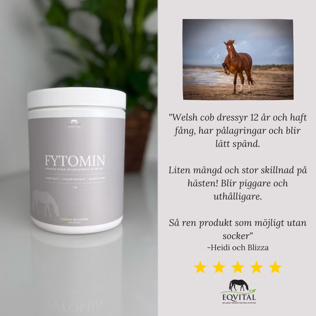 FYTOMIN - Växtbaserat mineral och näringstillskott - Bild 3