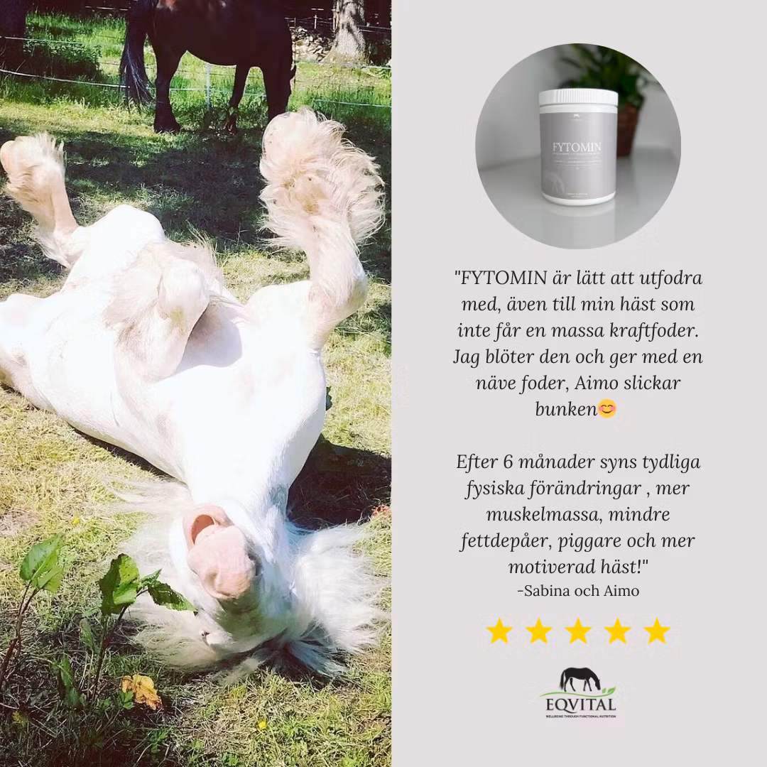 FYTOMIN - Växtbaserat mineral och näringstillskott - Bild 2