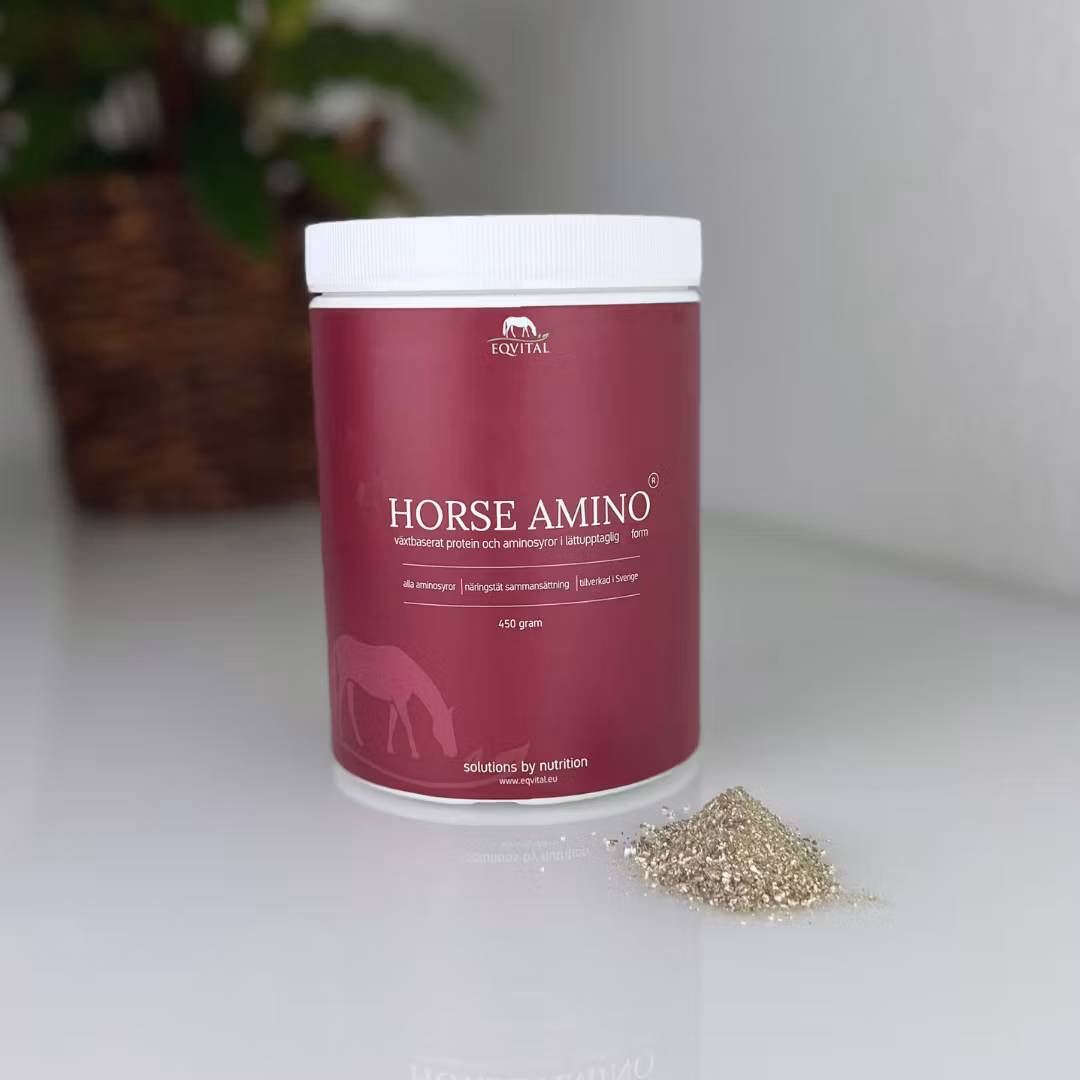 Horse Amino proteintillskott - Bild 2