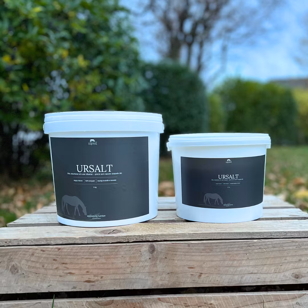 Eqvital URSALT - Bild 2