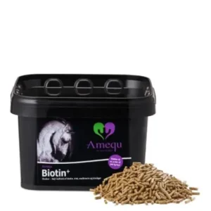 Amequ Biotin+
