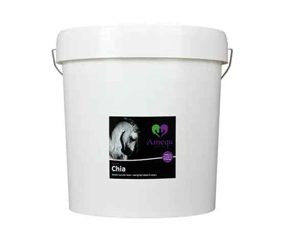 Amequ Chia - Bild 3